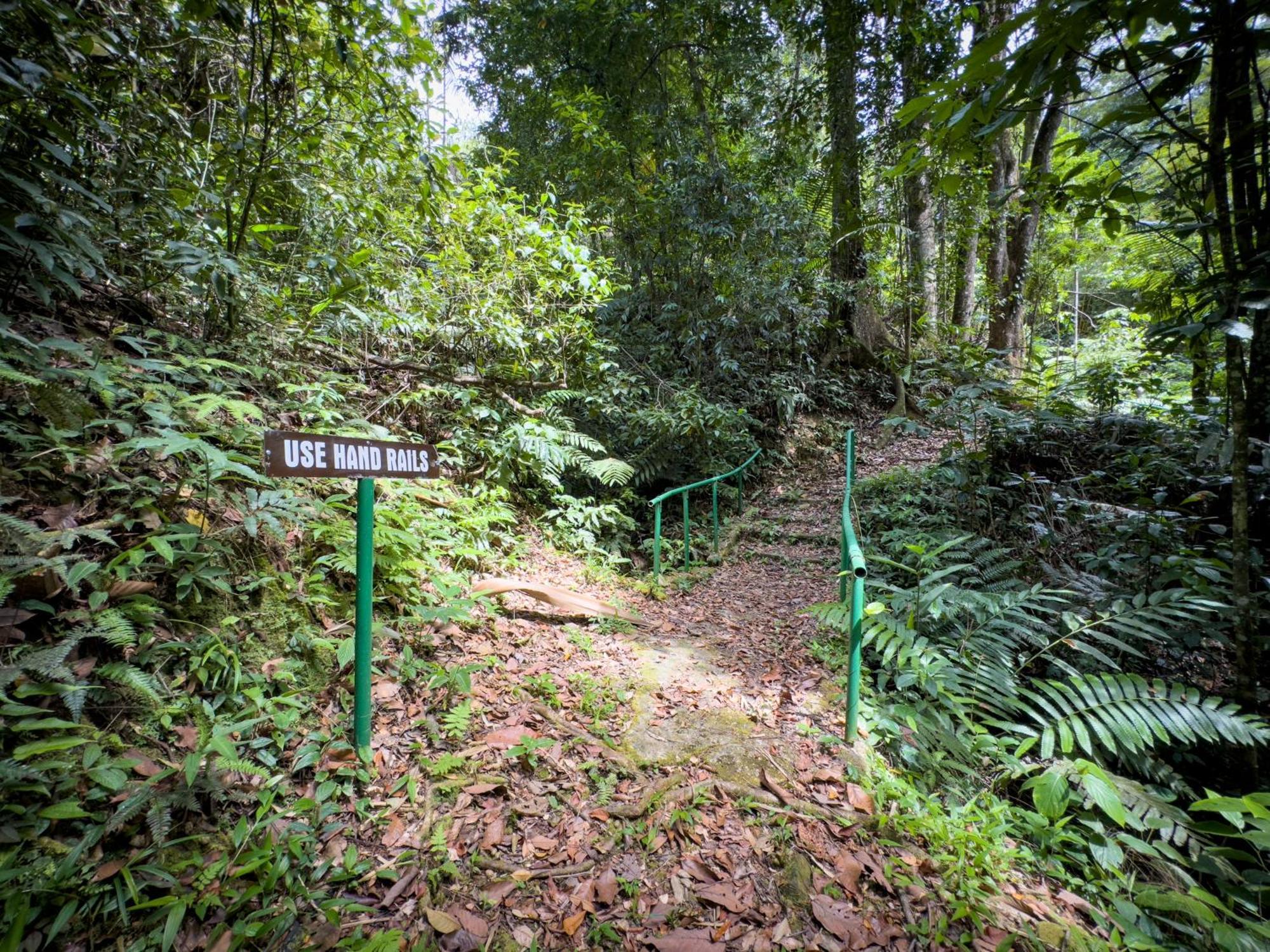 Hadco Experiences At Asa Wright Nature Centre Blanchisseuse Buitenkant foto