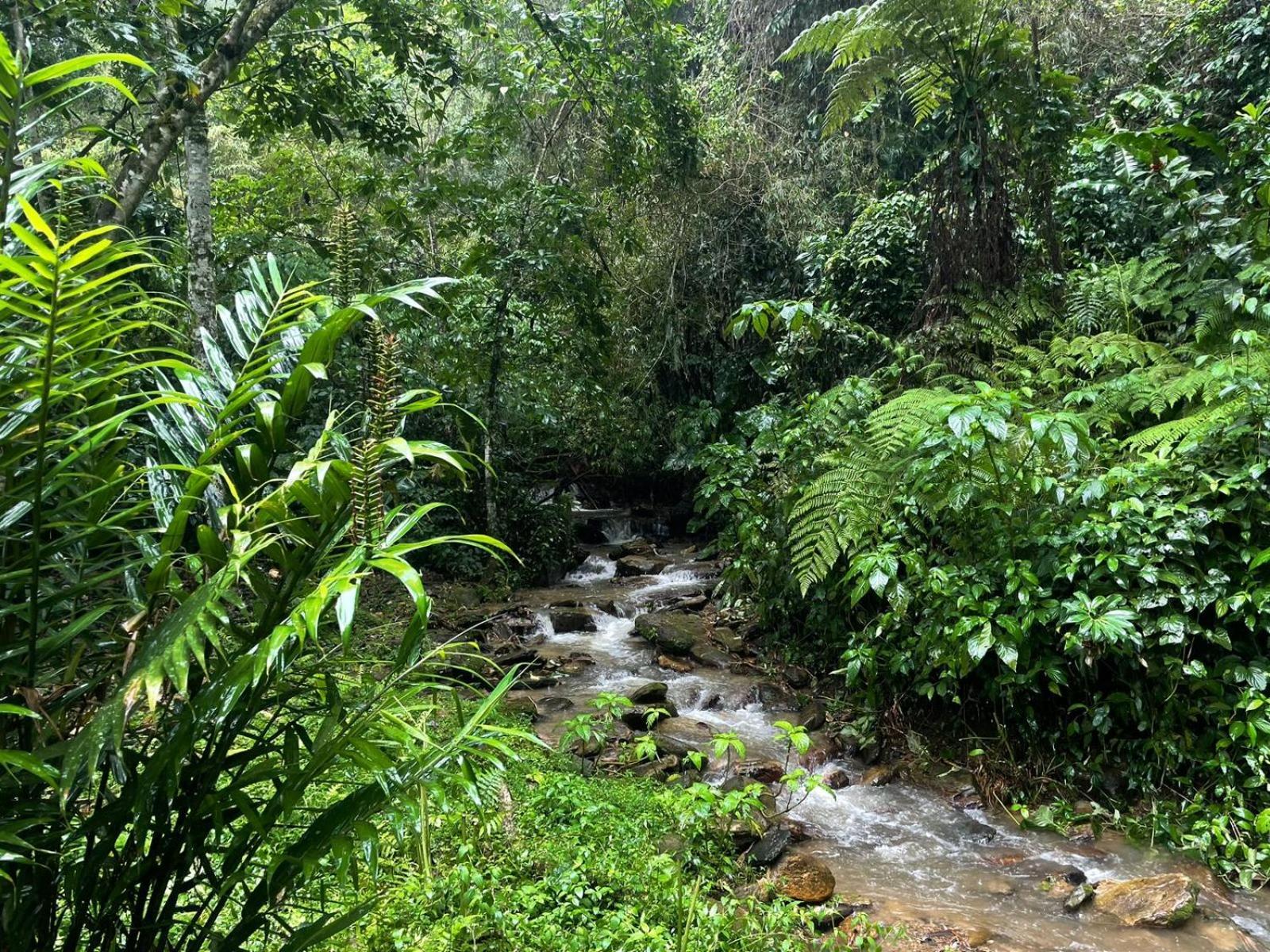Hadco Experiences At Asa Wright Nature Centre Blanchisseuse Buitenkant foto