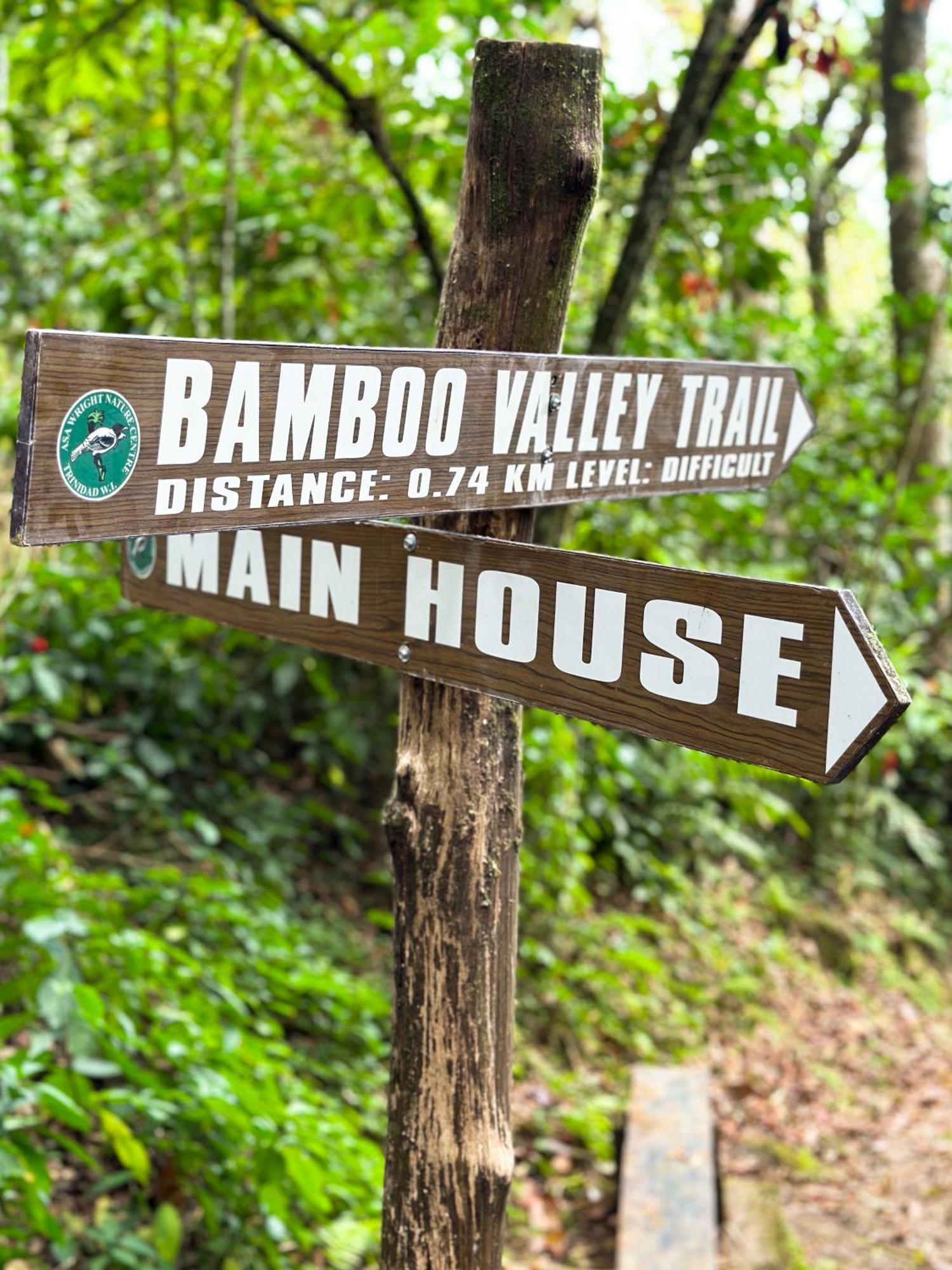Hadco Experiences At Asa Wright Nature Centre Blanchisseuse Buitenkant foto