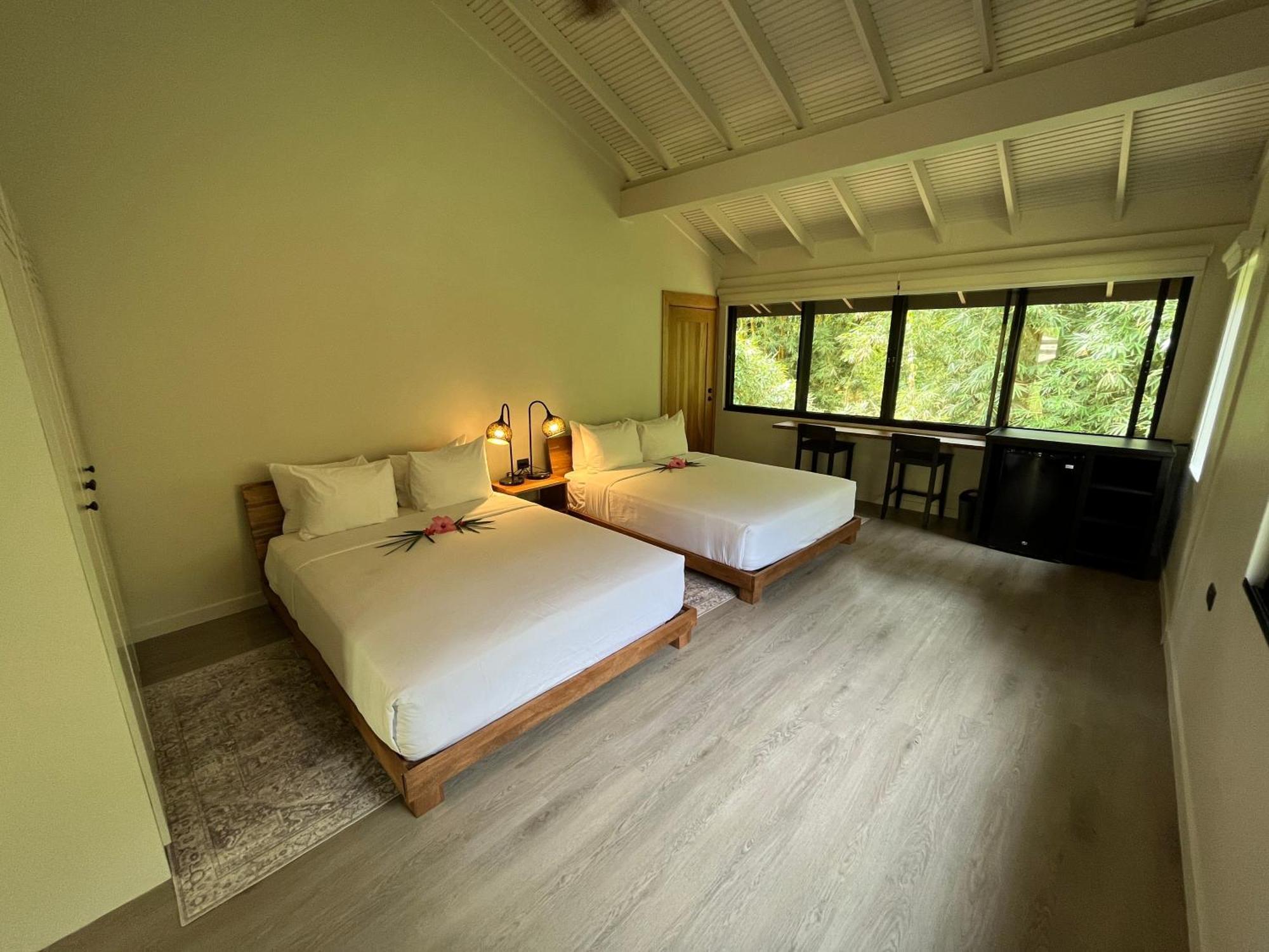 Hadco Experiences At Asa Wright Nature Centre Blanchisseuse Buitenkant foto