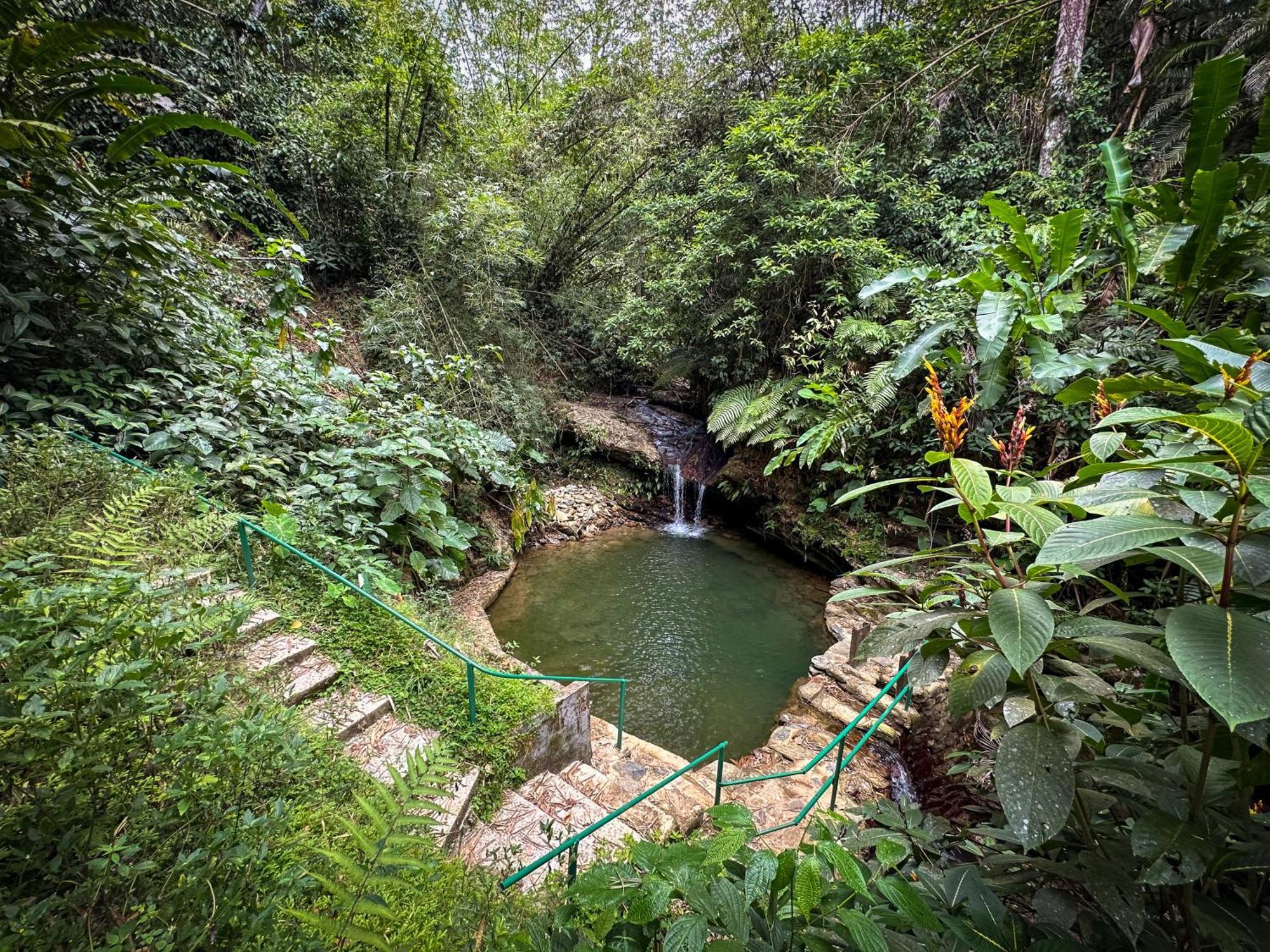 Hadco Experiences At Asa Wright Nature Centre Blanchisseuse Buitenkant foto