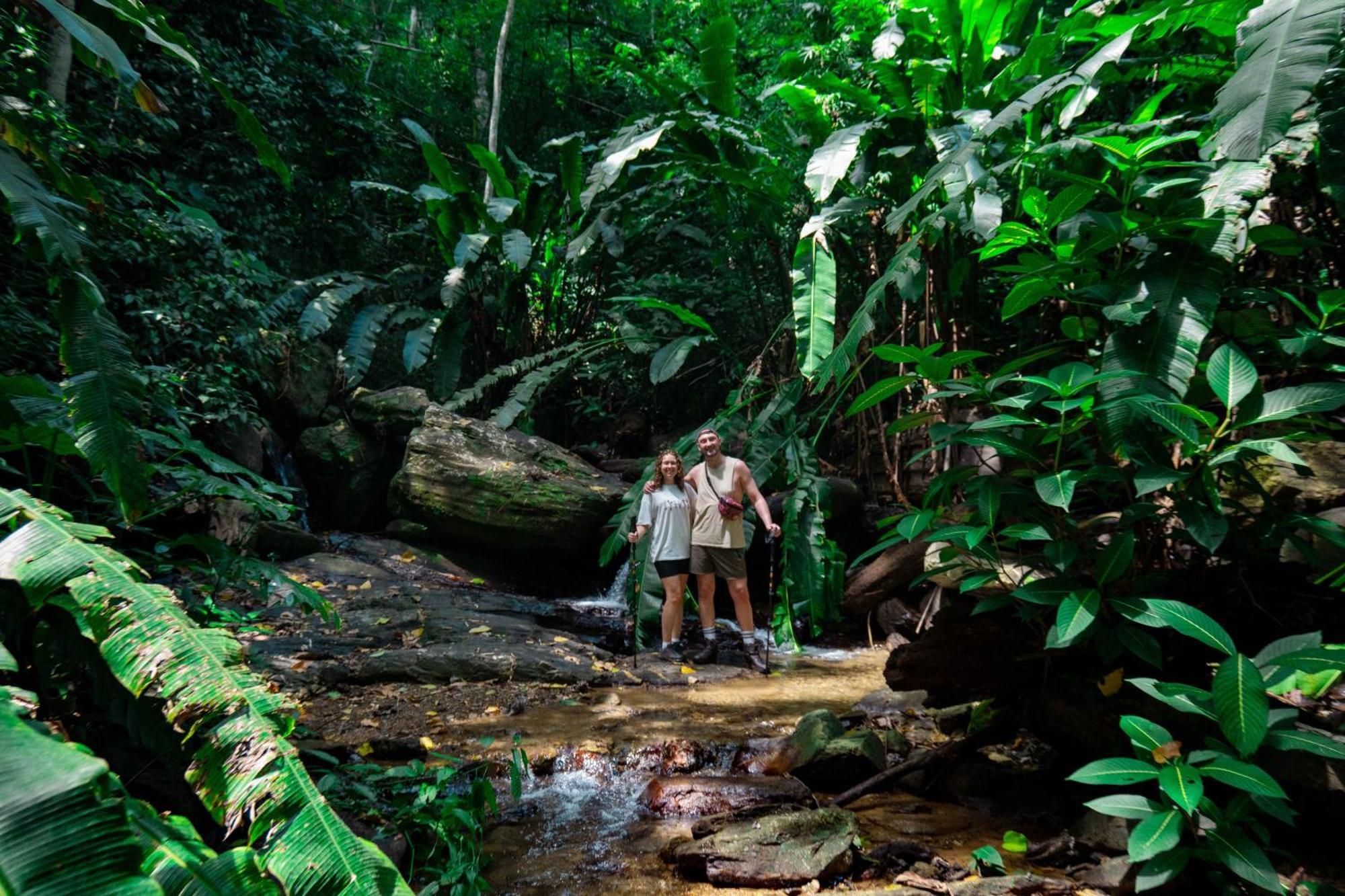 Hadco Experiences At Asa Wright Nature Centre Blanchisseuse Buitenkant foto
